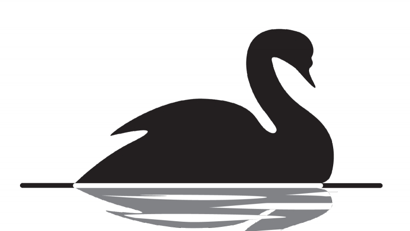 grundigt leder leder 2019: Year of the Black Swan? | Crescent International | Monthly News  Magazine from ICIT